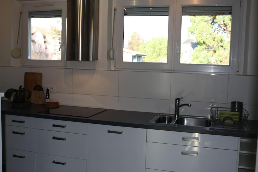 Superb Apt- Garden- 3 Parkings, Near Petite Venise ! Colmar Eksteriør billede